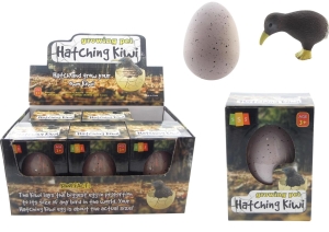 Hatch & Grow  Kiwi - Large (6 D)