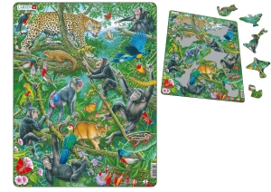 African Rain Forest Puzzle