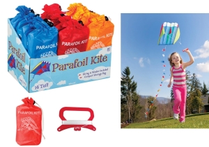Parafoil Kite (12 D) (3 colour asst)