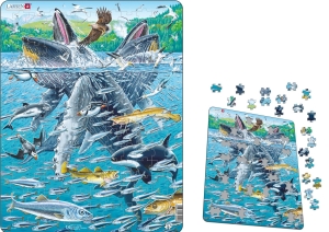 (SP) Humpback Whales Puzzle