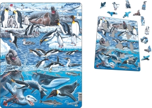 (SP) Antarctica Puzzle